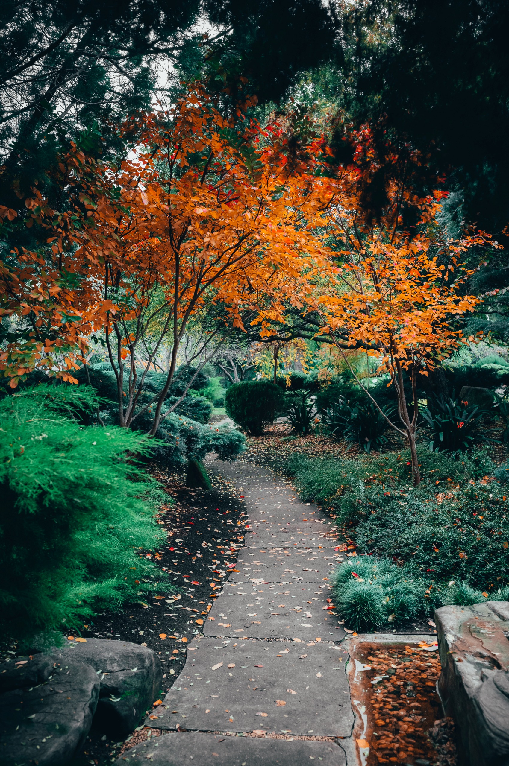 beautiful-view-mesmerizing-nature-traditional-styled-japanese-adelaide-himeji-gardens